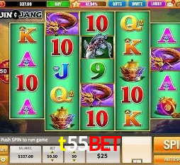 Experiência VIP t55bet